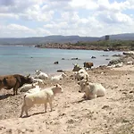 Κατάλυμα σε φάρμα Li Pireddi *