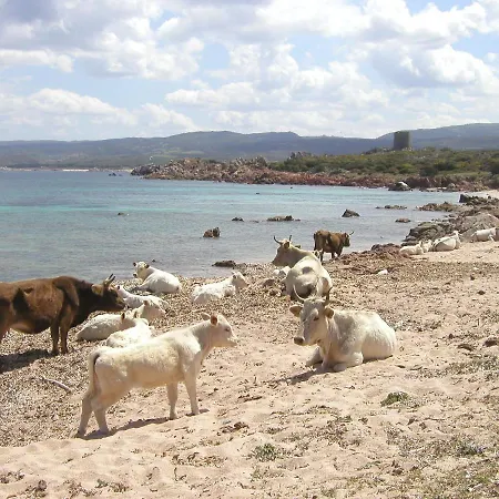 Farm stay Li Pireddi *