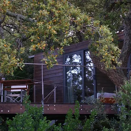 Li Pireddi Farm stay