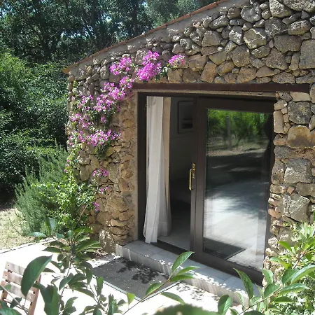 Li Pireddi Farm stay Aglientu