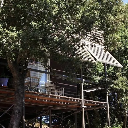 Li Pireddi * Aglientu