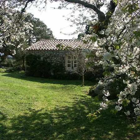 Li Pireddi * アリエントゥ