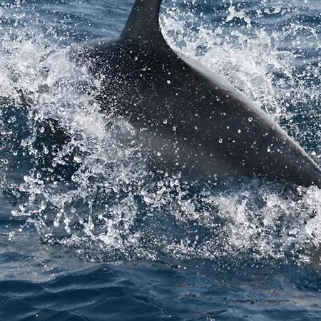 Li Pireddi ファームステイ アリエントゥ