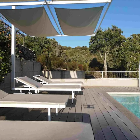 Li Pireddi * 阿列恩图