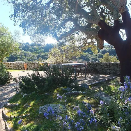 Alojamento de Turismo Rural Li Pireddi Aglientu