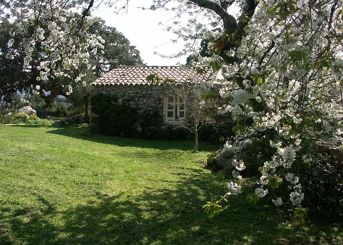 Li Pireddi * Aglientu