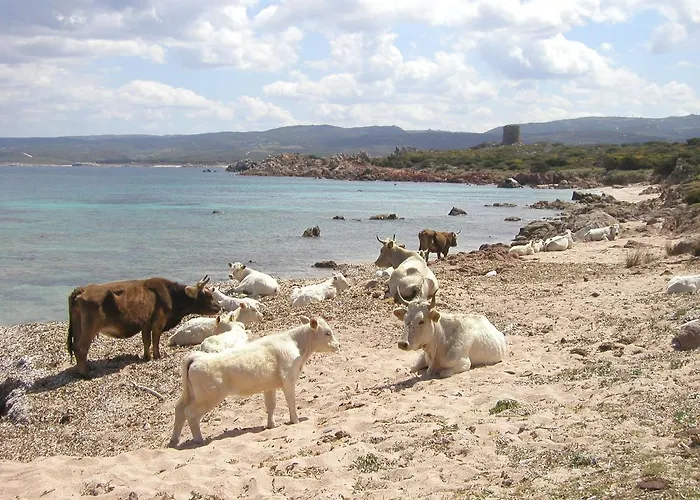 农家乐 Li Pireddi *