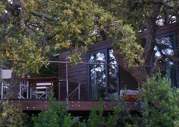 Li Pireddi 农家乐