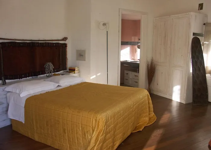 Li Pireddi * 阿列恩图