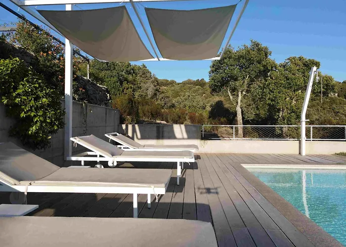 Li Pireddi * 阿列恩图